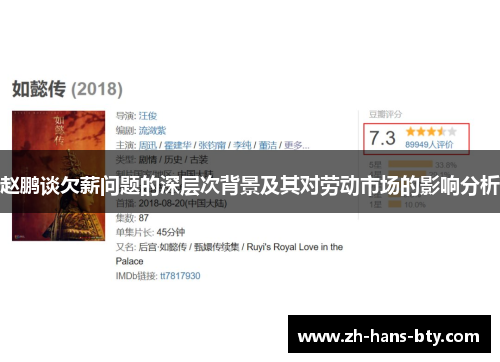 赵鹏谈欠薪问题的深层次背景及其对劳动市场的影响分析